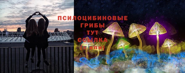 меф Арсеньев