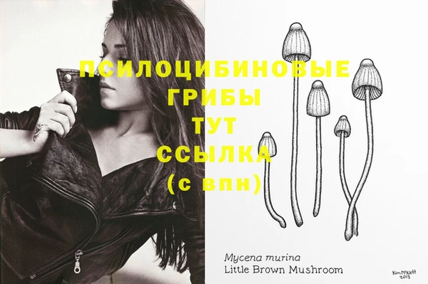 меф Арсеньев