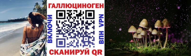 даркнет сайт  Кубинка  Галлюциногенные грибы Psilocybe 